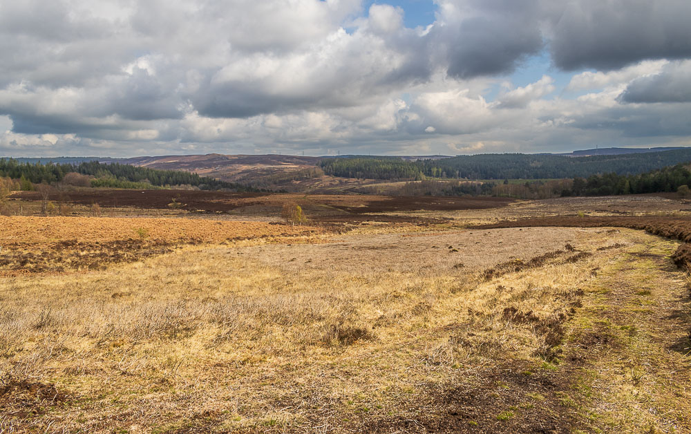 Debdon Moor Debdon Moor